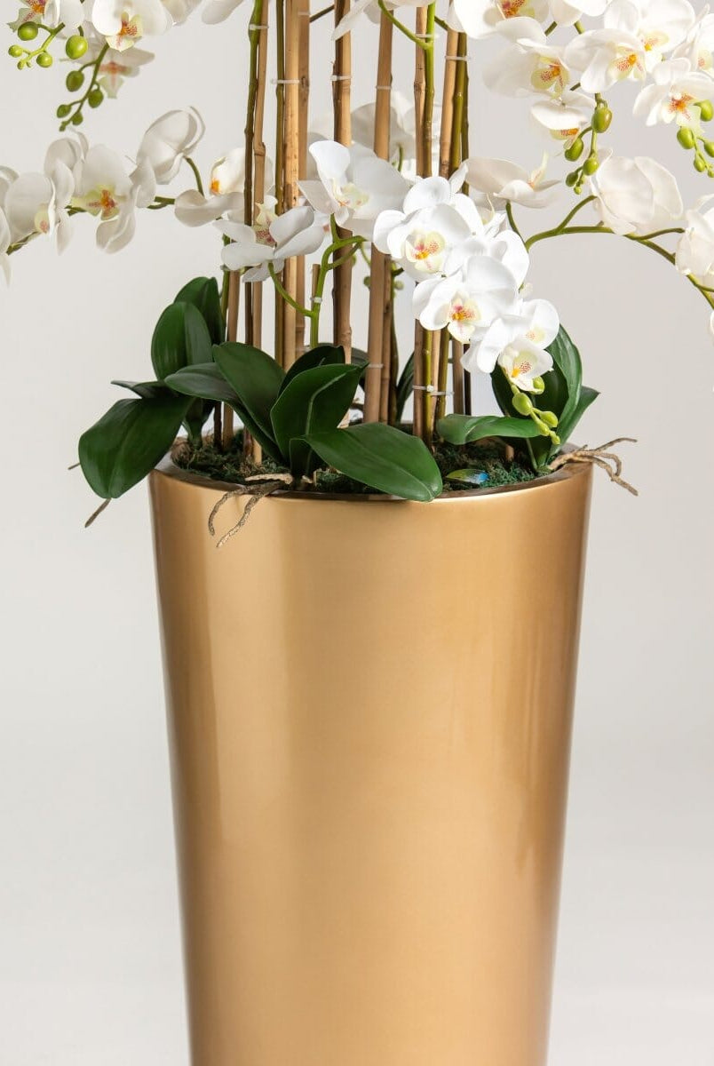 White Phalaenopsis Orchidificial Plant