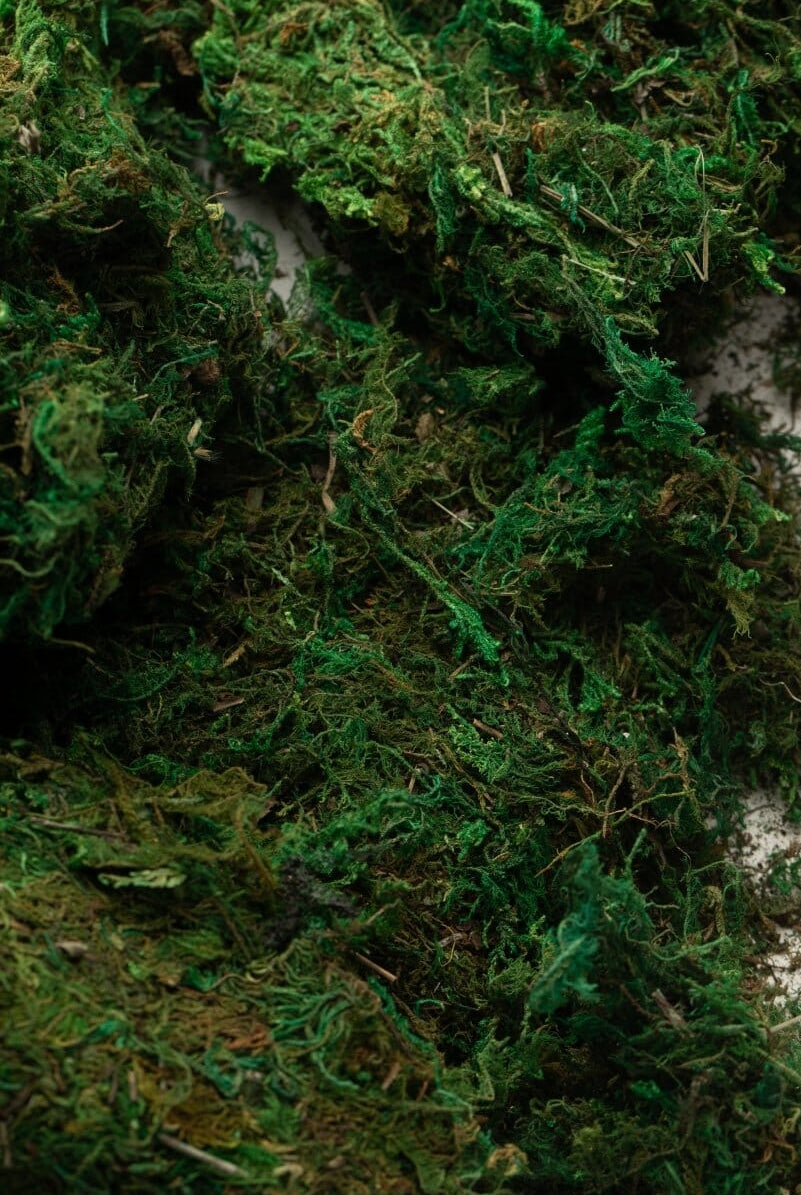 Artificial Decorative Dry Moss