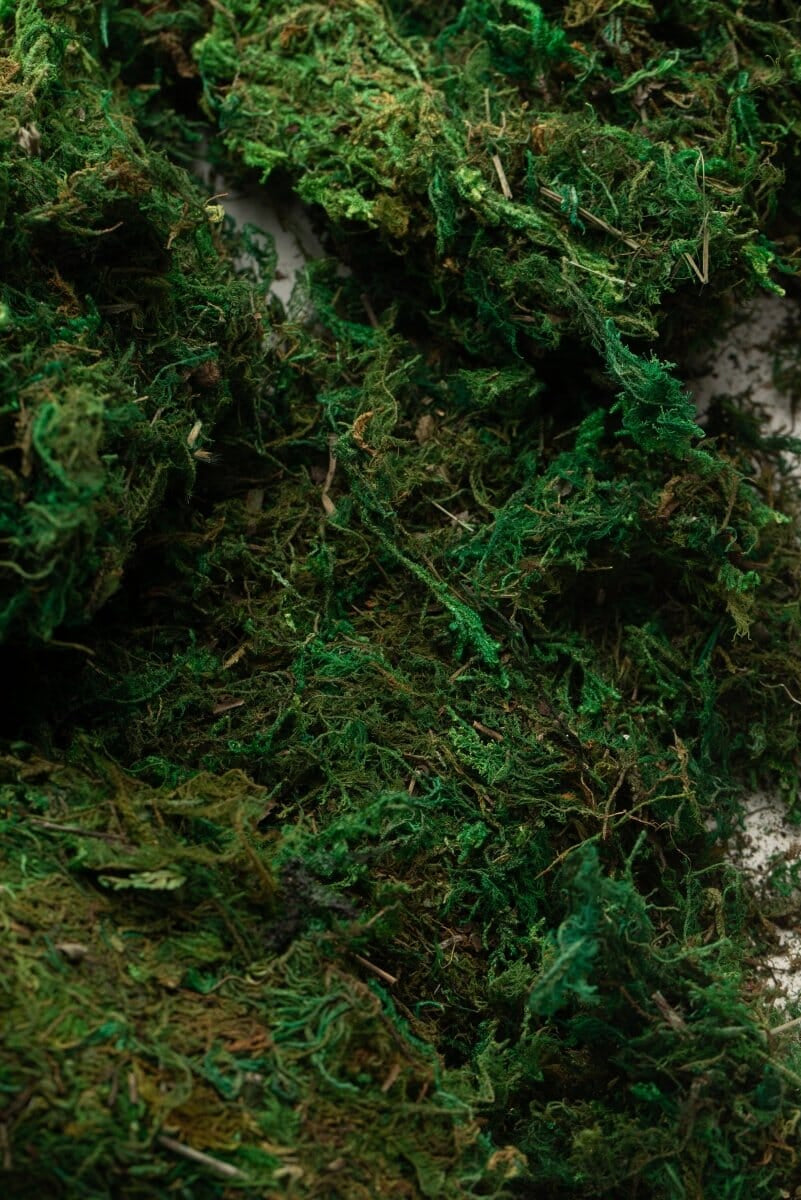 Artificial Decorative Dry Moss