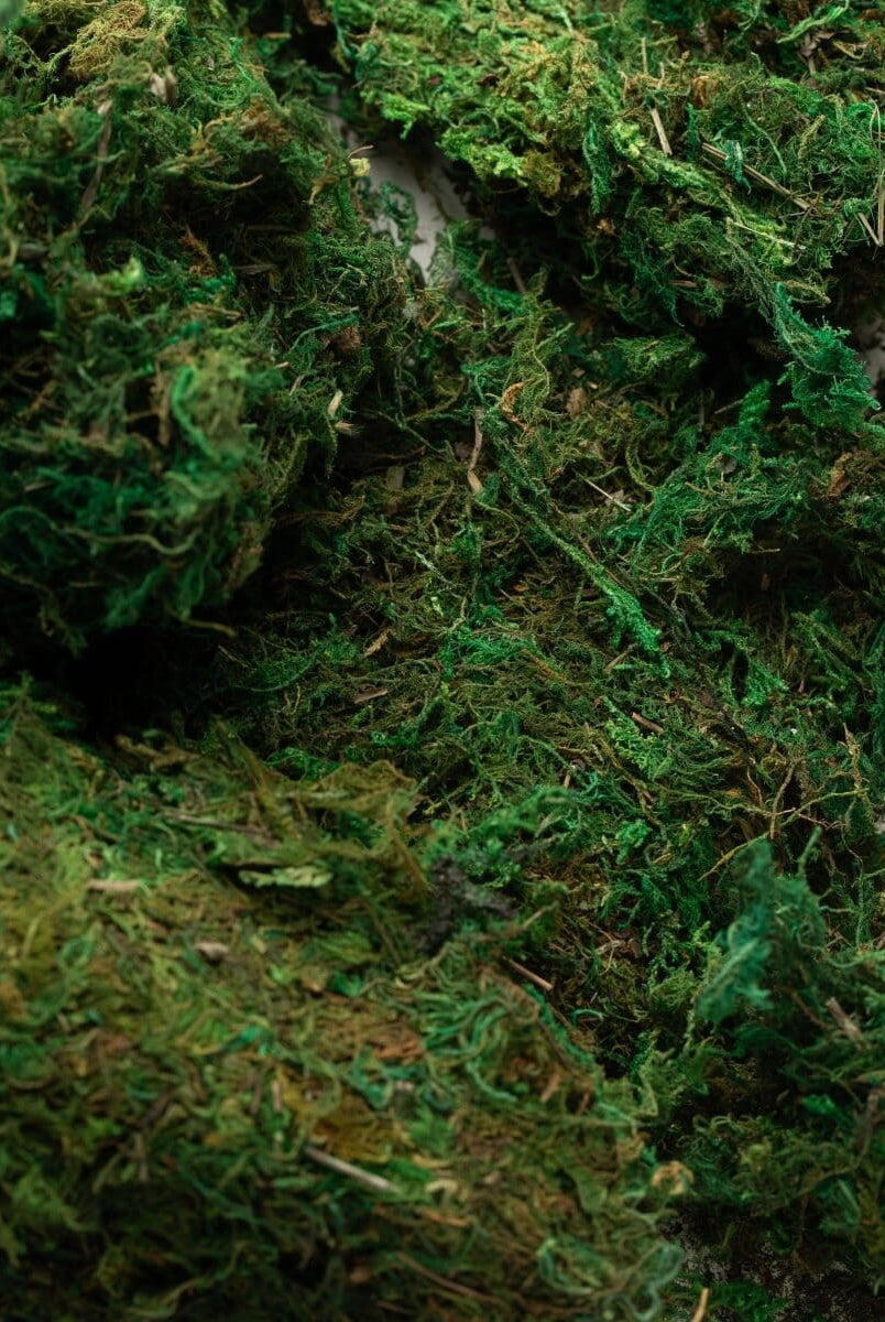 ificial rative Dry Moss