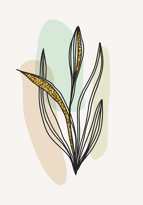 Minimalist Flora Wall Art