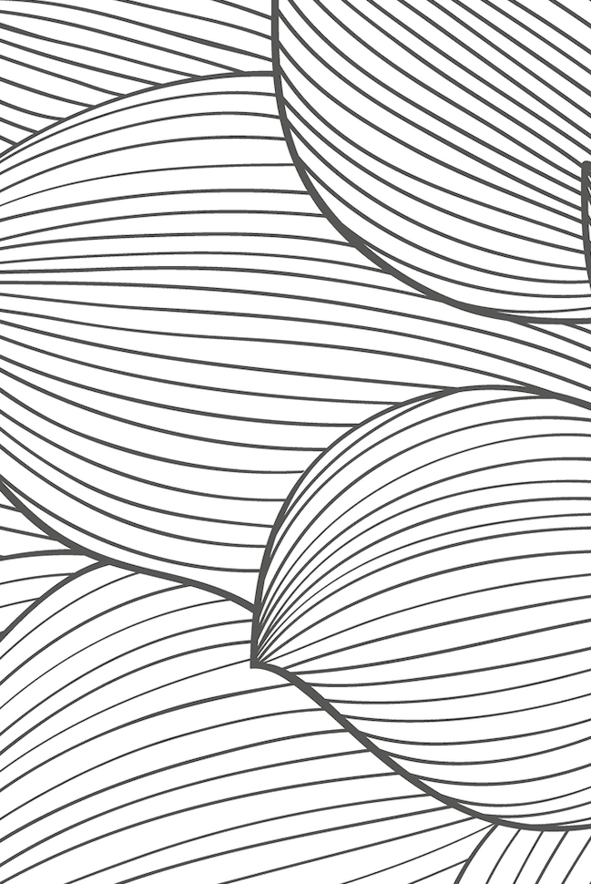 Monochrome Blossom Wall Art I