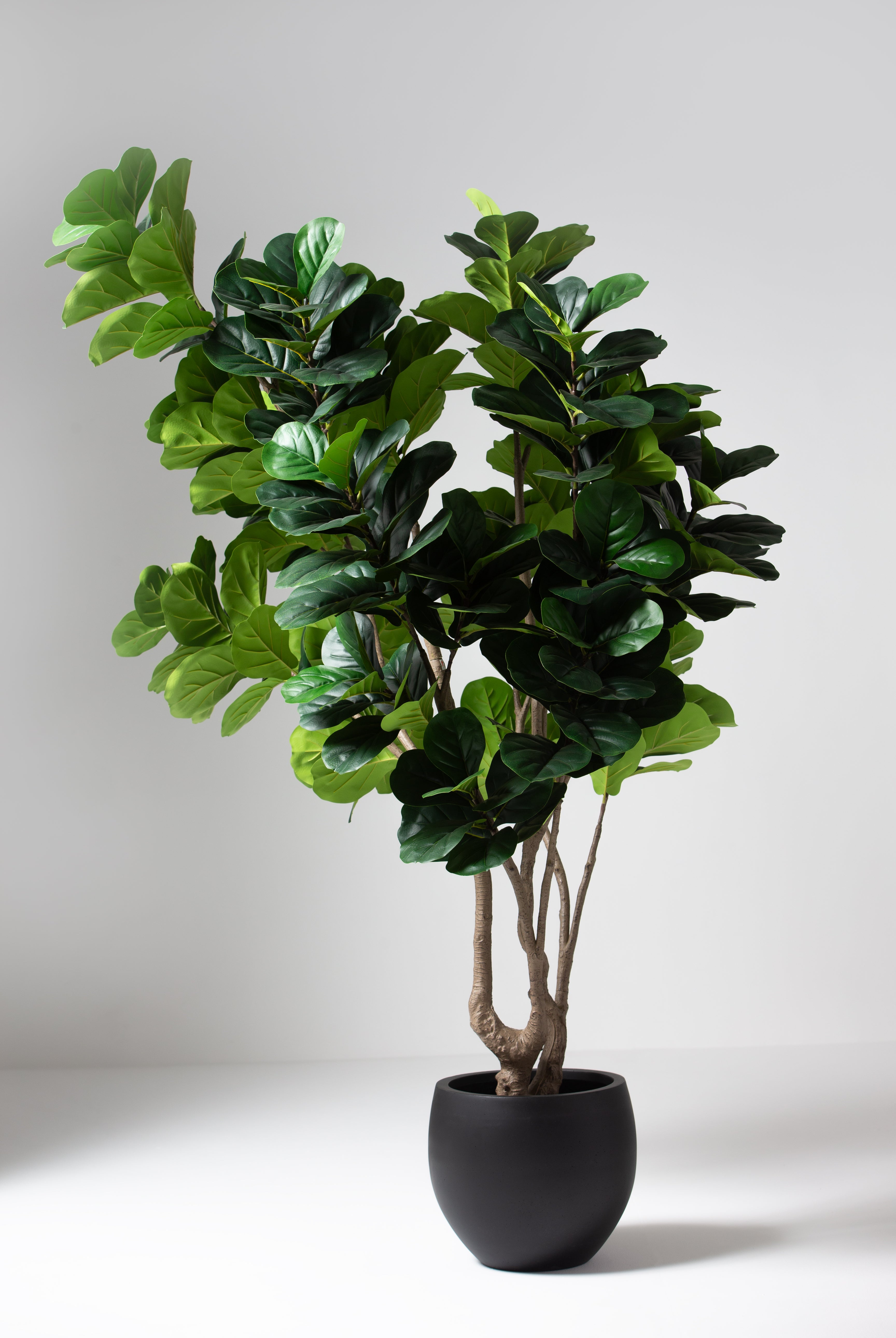 Fiddle Leaf Fig Artificial Tree