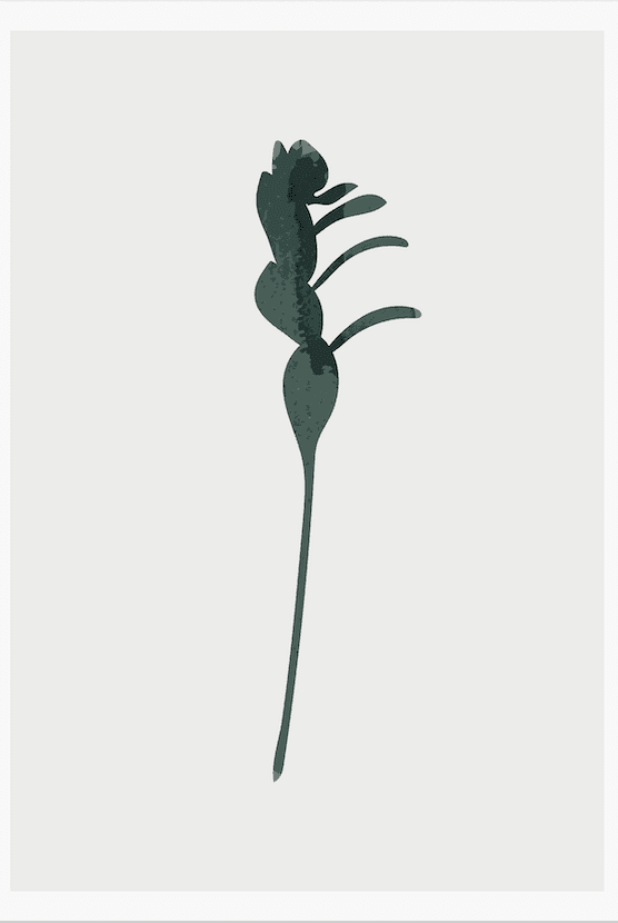 Tropical Leaf Illustration III