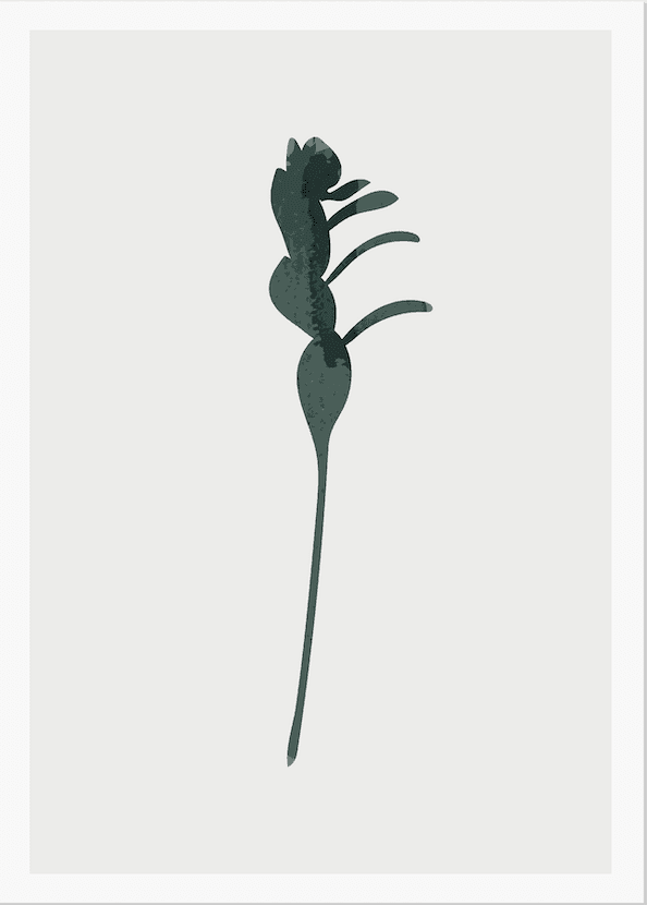 Tropical Leaf Illustration III