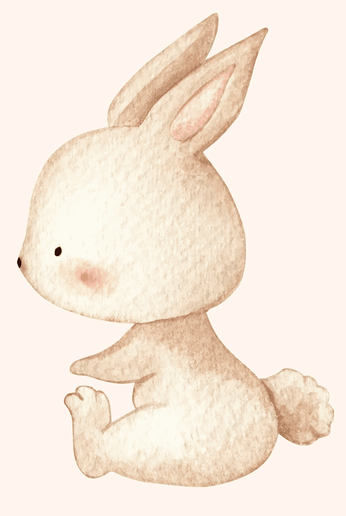 Cottontail Bunny Wall
