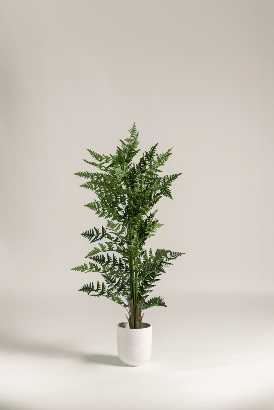 Dicksonia Antarctica Artificial Plant