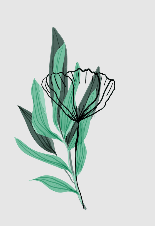 Serene Flora Wall