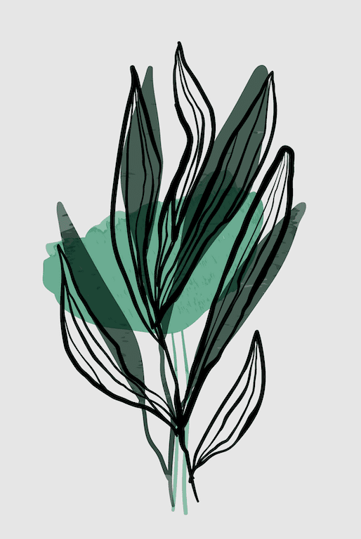 Serene Flora Wall II