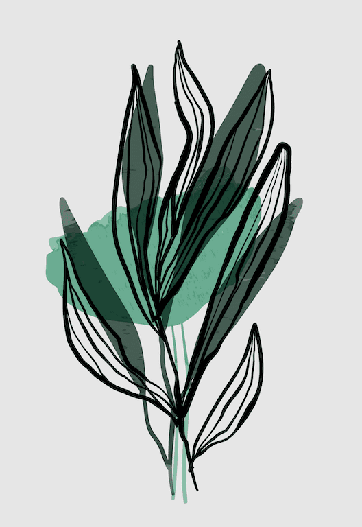 Serene Flora Wall II