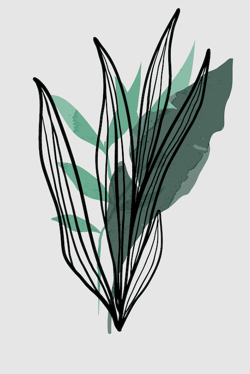 Serene Flora Wall IV