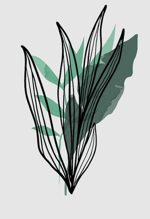Serene Flora Wall IV