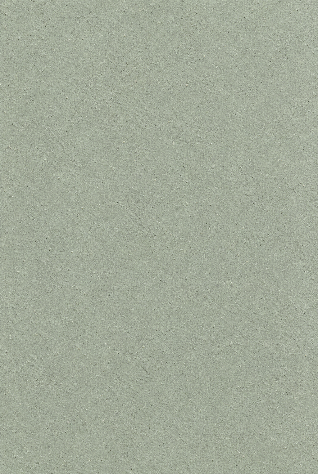 Sorevin Pistachio Green Microconcrete Shoe Cabinet