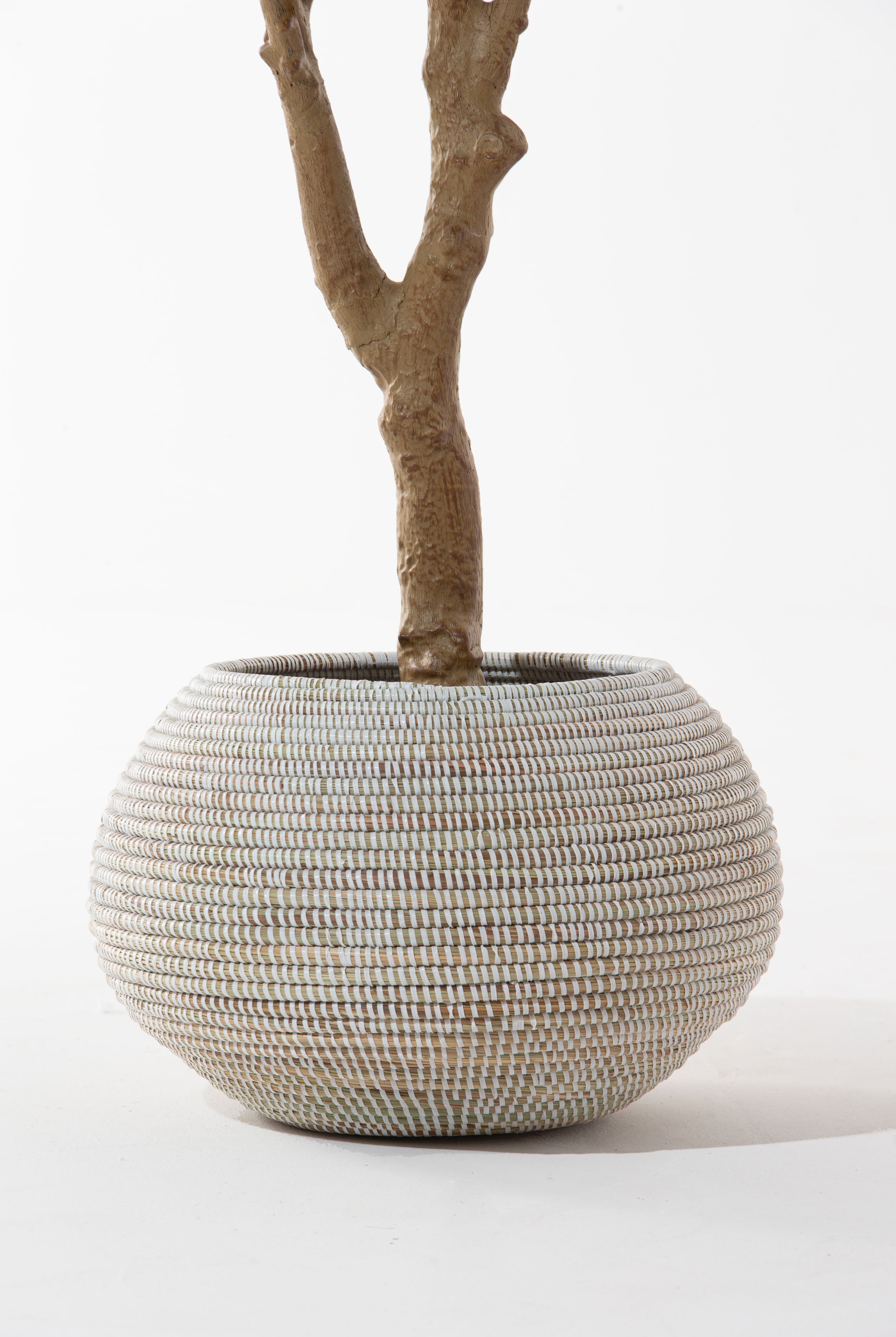 Cambria Handmade White Pot