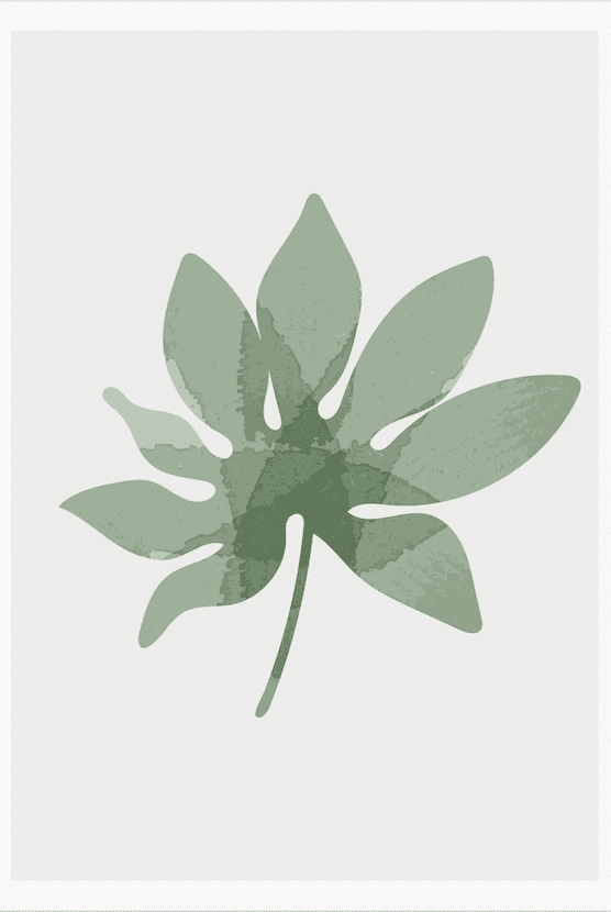 Tropical Leaf Illustration II