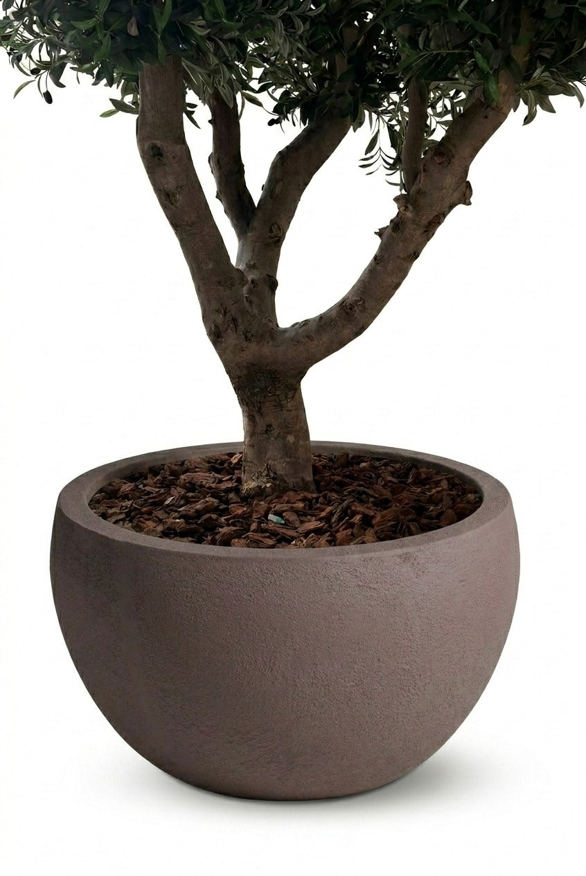 Zuno Dark Brown Tree Pot