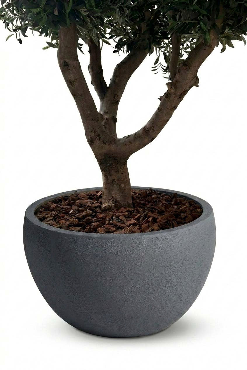 Zuno Dark Grey Tree Pot