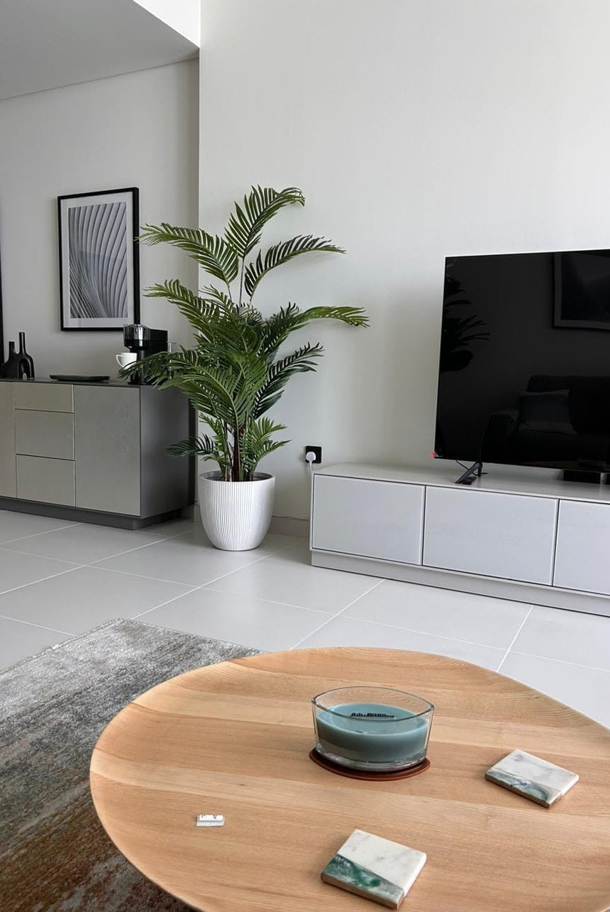 Areca Palmificial Plant (Pot not included)