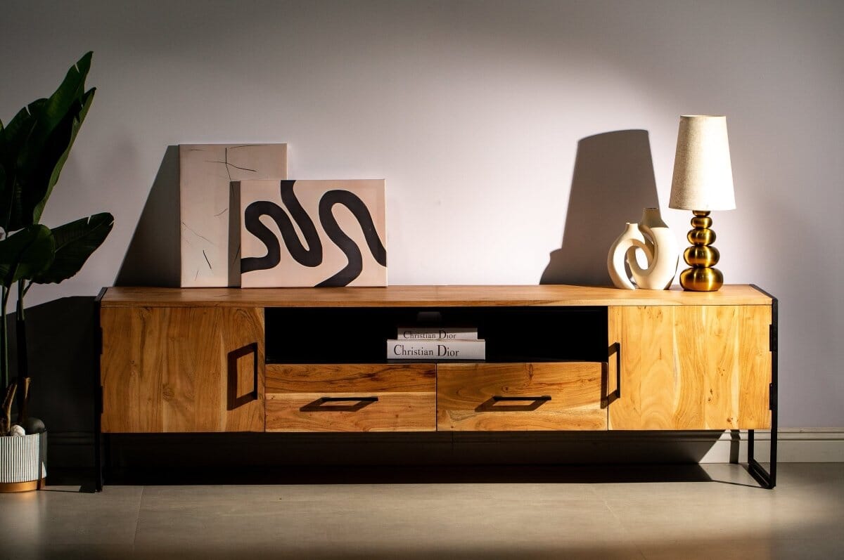 Two Drawers with Two Doors TV Console Homekode