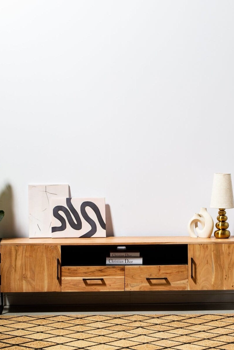 Two Drawers with Two Doors TV Console Homekode