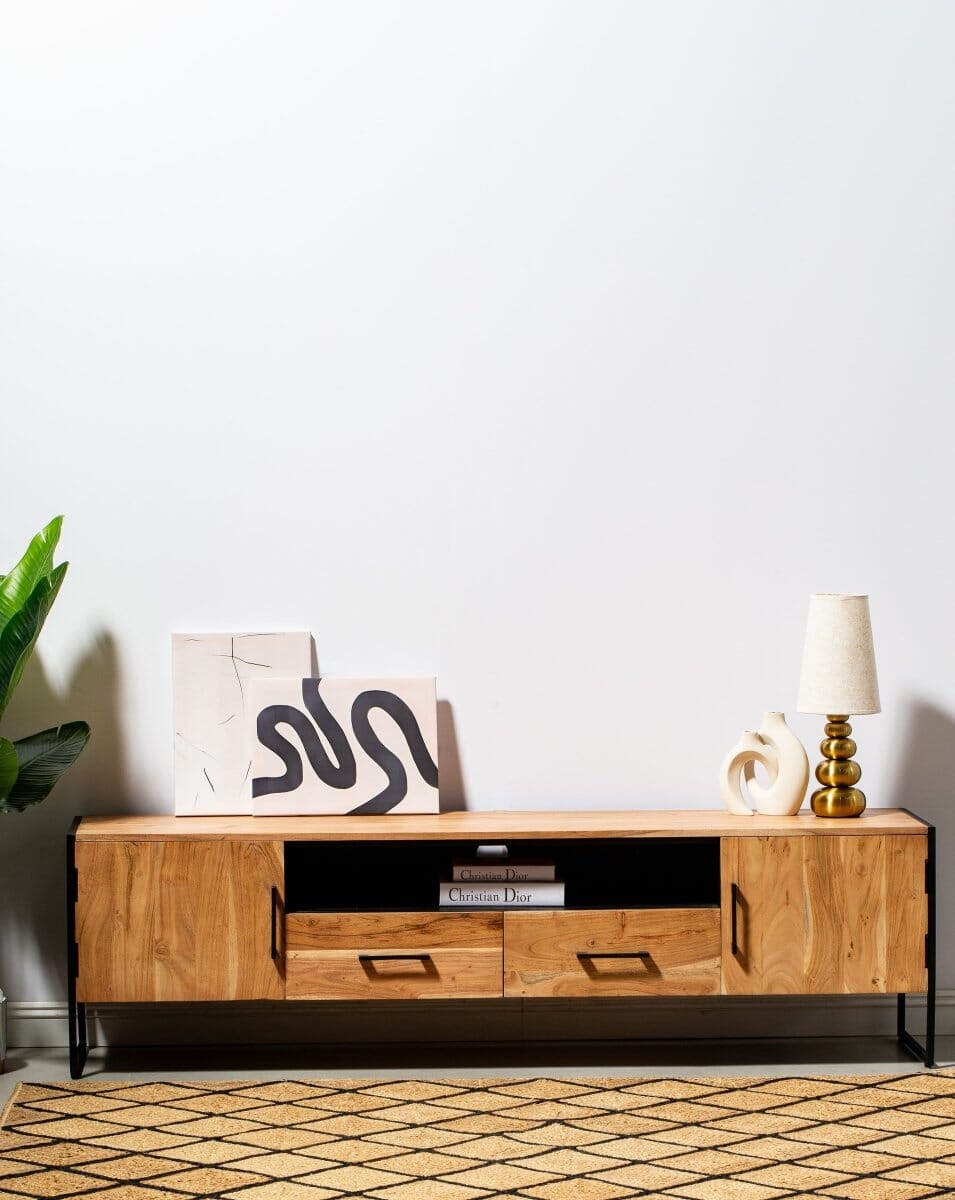 Two Drawers with Two Doors TV Console Homekode