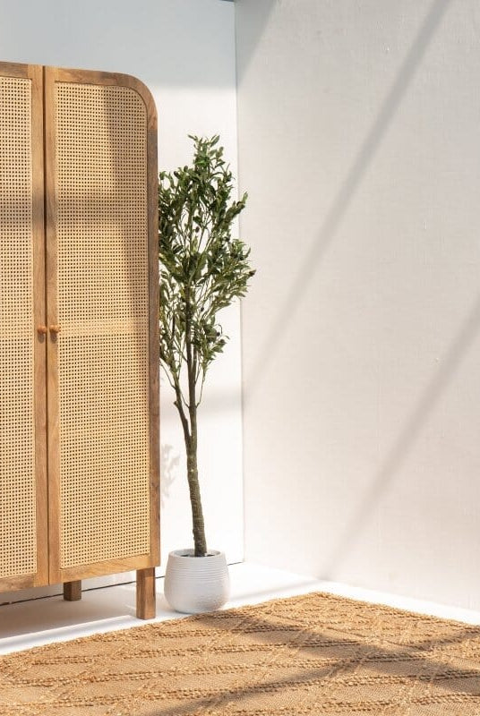 Azura Rattan Door Arch Top Cabinet Homekode