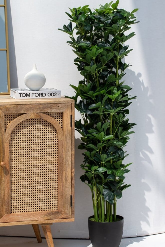 Scheffleraificial Plant (Pot not included)