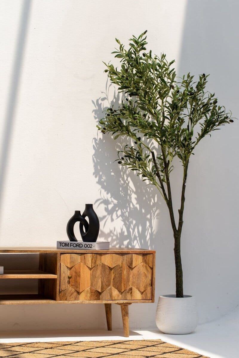 Nova Wooden Two Door TV Unit Homekode