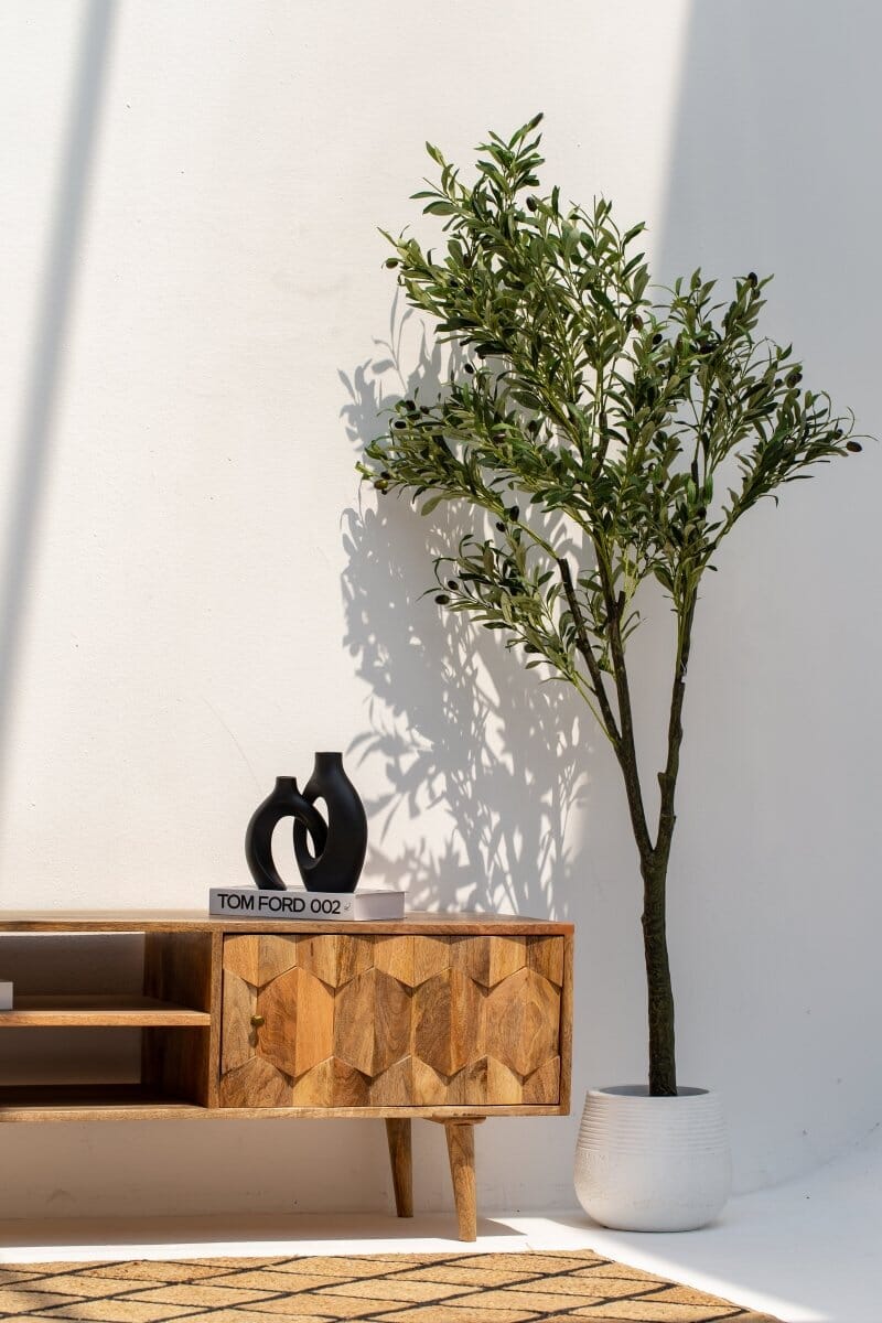 Nova Wooden Two Door TV Unit Homekode