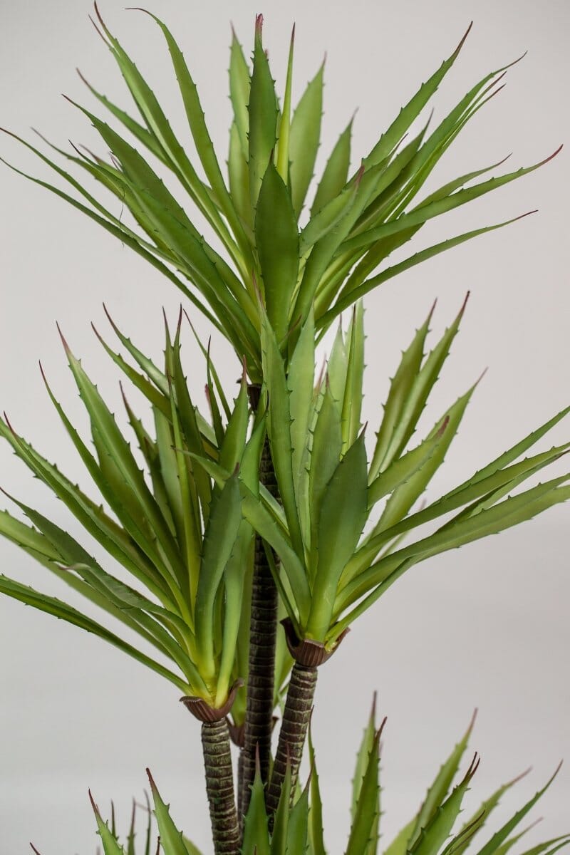 Yuccaificial Plant (Pot not included) Homekode