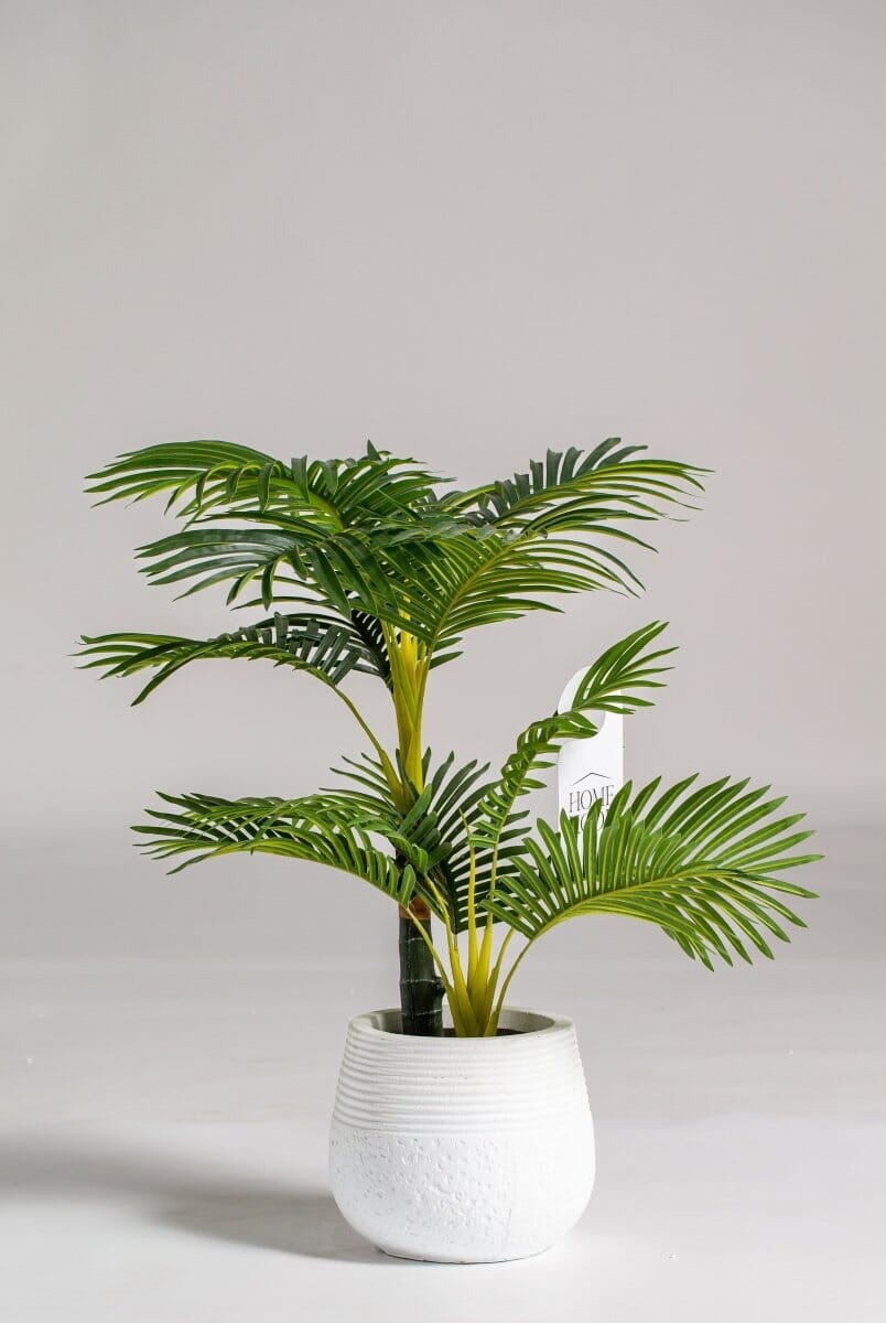 Areca Artificial Plant