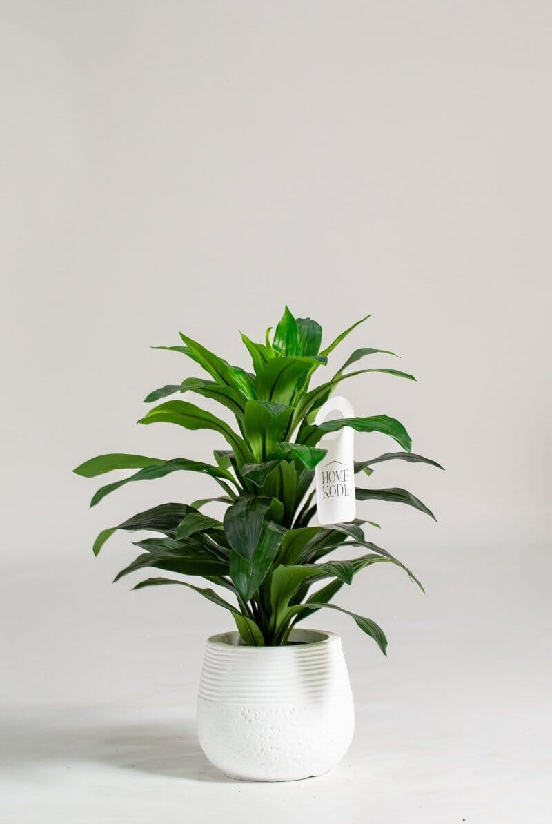 Dracaena Green Artificial Plant