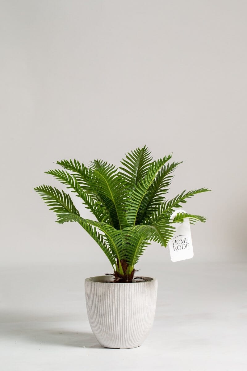 Cycas Palm artificial plant