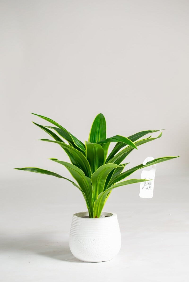 Yucca Artificial Plant