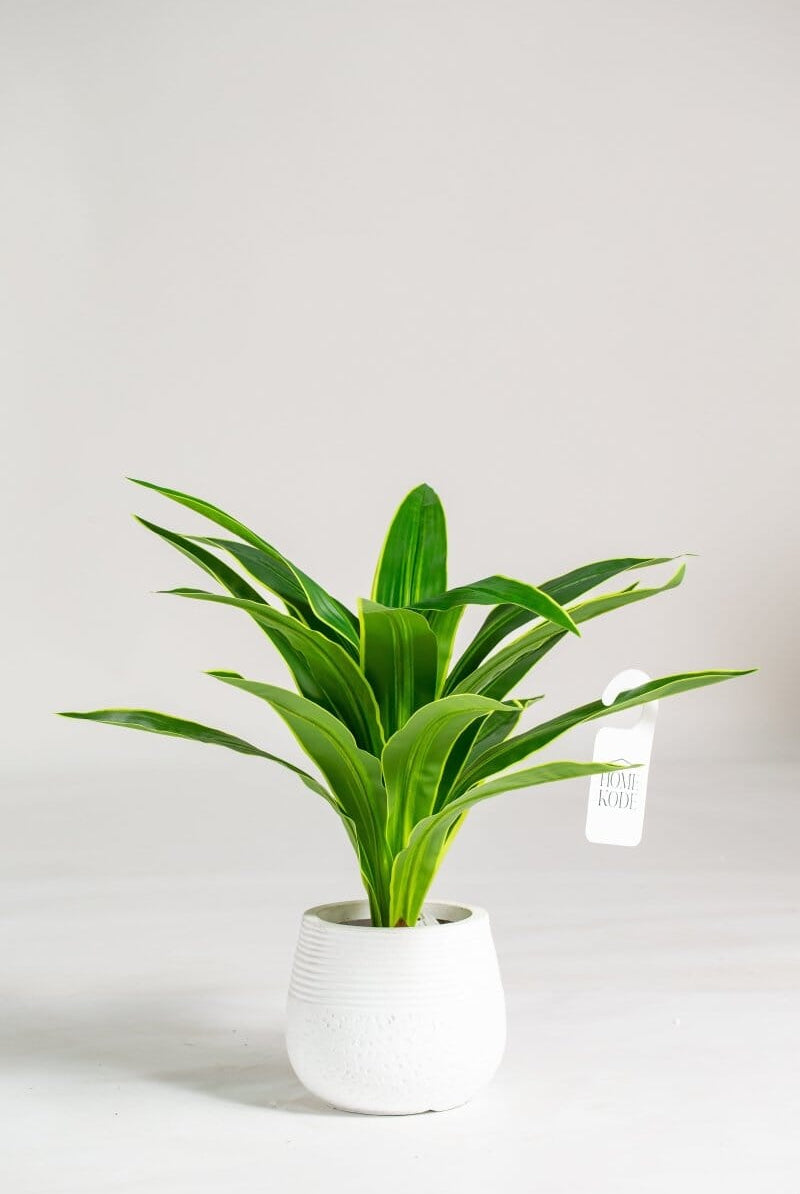 Yuccaificial Plant (Pot not included) Homekode