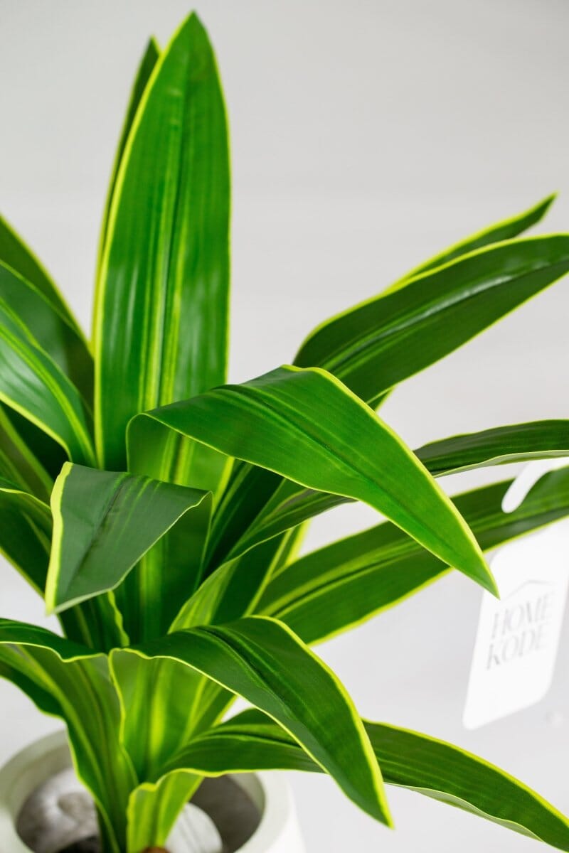 Yuccaificial Plant (Pot not included) Homekode