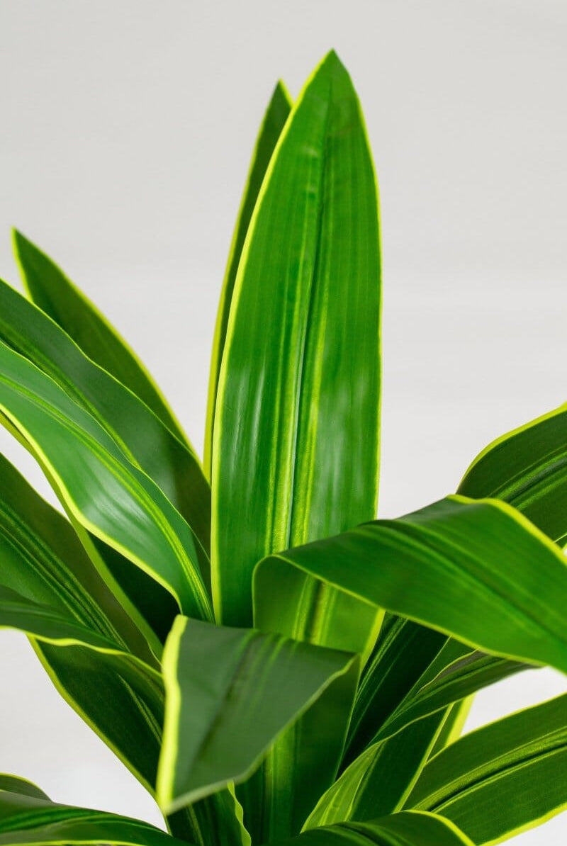 Yuccaificial Plant (Pot not included) Homekode