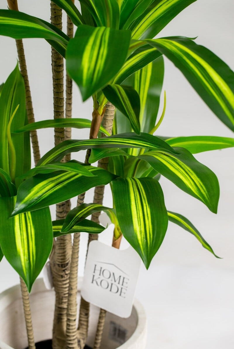 Dracaena Fragransificial Plant (Pot not included) Homekode