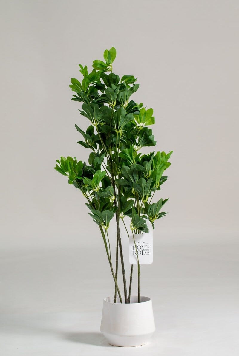 Schefflera Artificial Plant