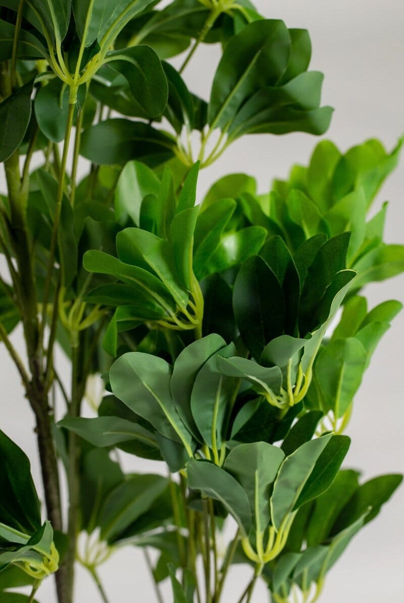 Scheffleraificial Plant ((Pot not included) Homekode