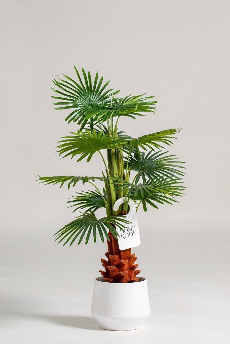 Enzo De Gasperi Artificial Plant