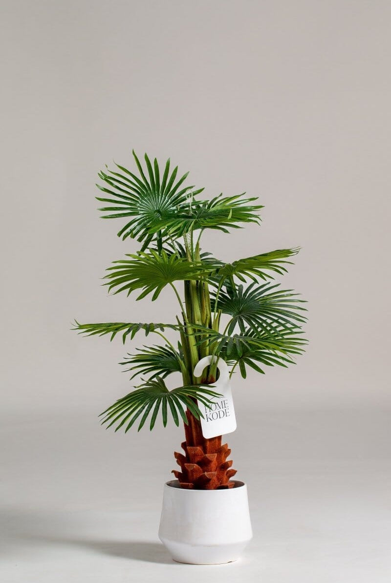 Enzo De Gasperiificial Plant (Pot not included) Homekode