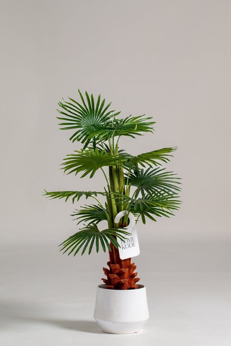 Enzo De Gasperiificial Plant (Pot not included) Homekode