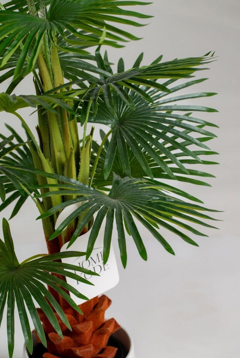 Enzo De Gasperiificial Plant (Pot not included) Homekode