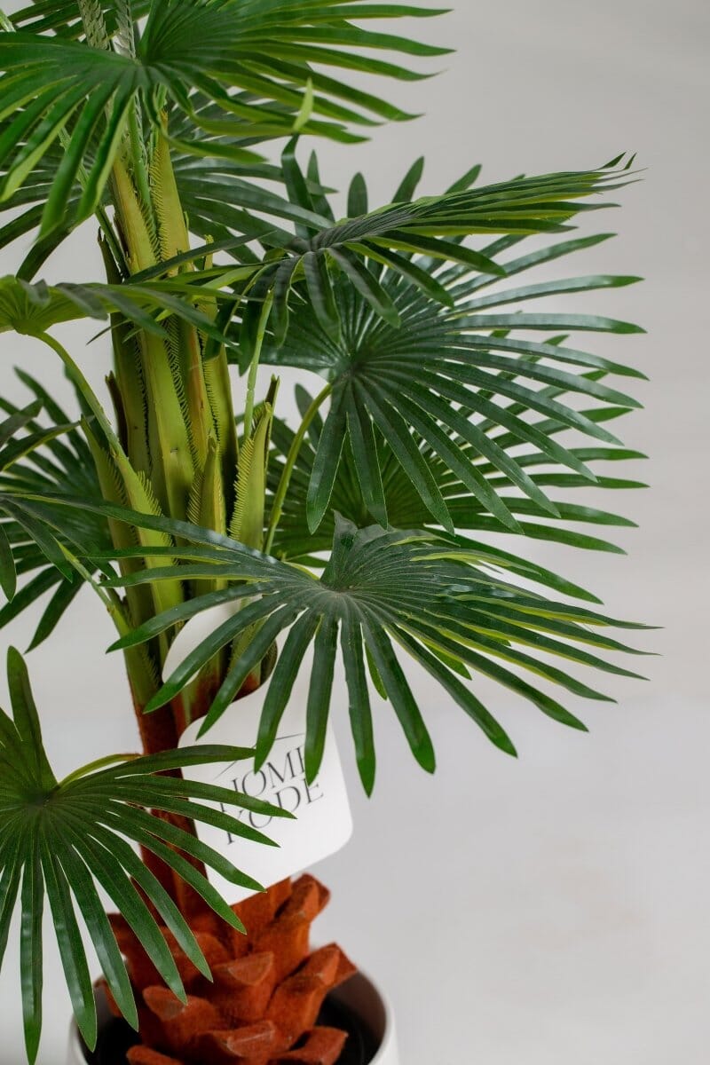 Enzo De Gasperiificial Plant (Pot not included) Homekode