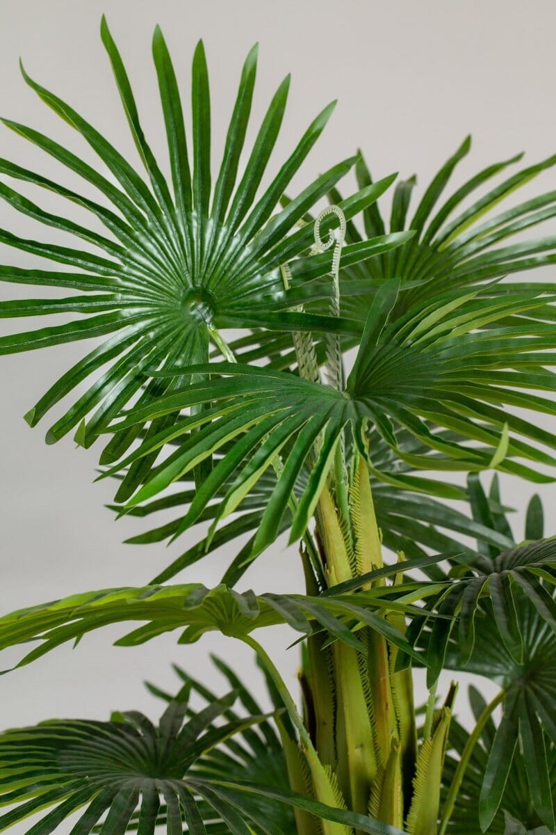 Enzo De Gasperiificial Plant (Pot not included) Homekode