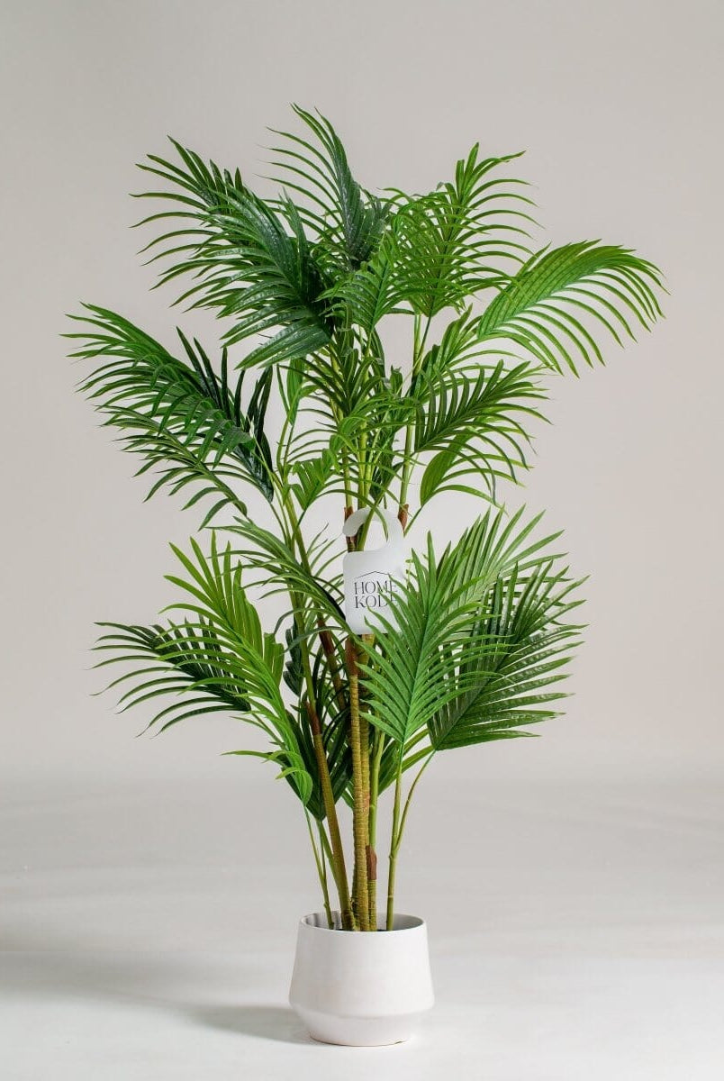 Golden Cane Palmificial Plant (Pot not included) Homekode