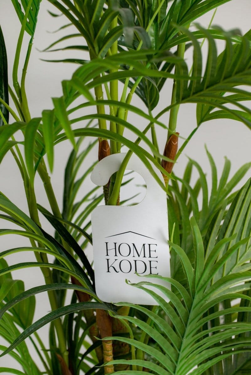 Golden Cane Palmificial Plant (Pot not included) Homekode