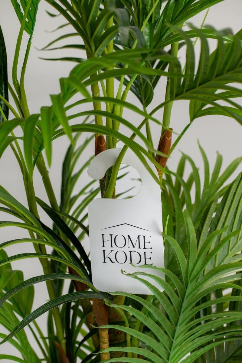 Golden Cane Palmificial Plant (Pot not included) Homekode