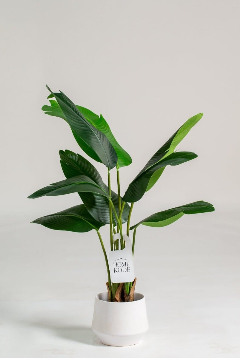 Strelitzia Nicolaiificial Plant (Pot not included) Homekode